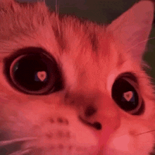 GIF Moon tarapyndan ýüklenen