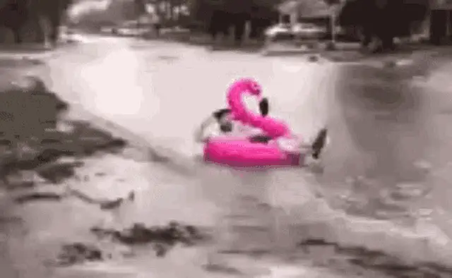 Street Rafting on Pink Flamingo Float