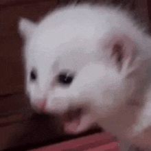 GIF آپلود شده توسط Siren