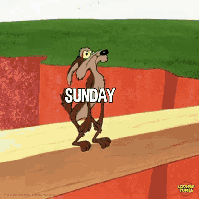 Wile E. Coyote: Monday After Holiday Dread