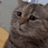 GIF uploaded by Dezalina