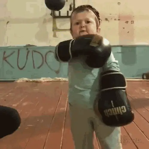 Little Boxer Ready to Fight