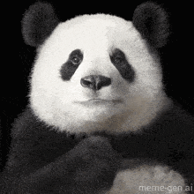 Mr.Stranger 上傳的 GIF