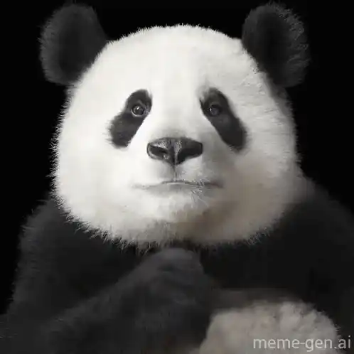 Cool Panda Puts on Sunglasses