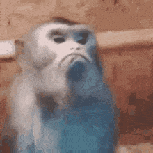 <div class="pupi_ur_most-voted-reaction-badge" data-reaction-count="1"><img src="https://routters.vip/qa-plugin/pupi-ur/public/img/like.png" class="pupi_ur_reaction-image-question-list" data-reaction-id="1"></div>No eduop ocnraiearc no me arcnepae asotd las cainreoces T_T