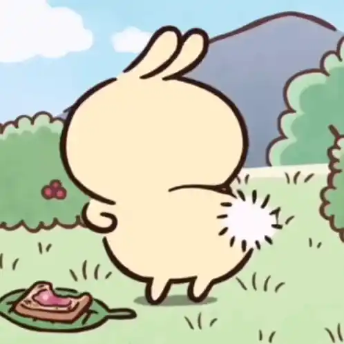 Usagi Dance