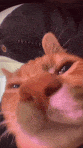 GIF uploaded by Wouter
