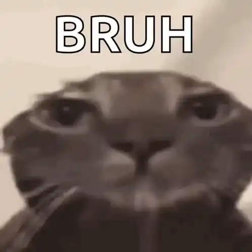 Bruh Cat Meme: Sad Reaction