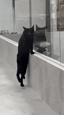 GIF 이미지