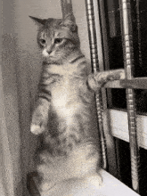 GIF آپلود شده توسط Kahlee