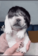 <div class="pupi_ur_most-voted-reaction-badge" data-reaction-count="1"><img src="https://routters.vip/imreact/HaHa.gif" class="pupi_ur_reaction-image-question-list" data-reaction-id="3"></div>Que lanmsiae (rlease o giaaiiormsn) no te ardeeoipnsrr teronrnac en aguln lpnatea ntiedtas?