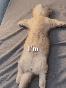 GIF gi-upload ni May