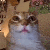GIF uploaded by 《🌹.::Lenöré::.🌹》