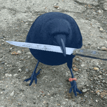GIF