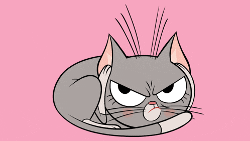 Victoria the Angry Reaction Cat