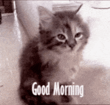 GIF uploaded by 𝑨𝒏𝒆𝒆𝒍..