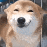 GIF 이미지