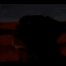 Dog Staring At Sun, iShowSpeed, and Anime Character