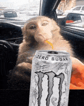 GIF uploaded by Gabriel