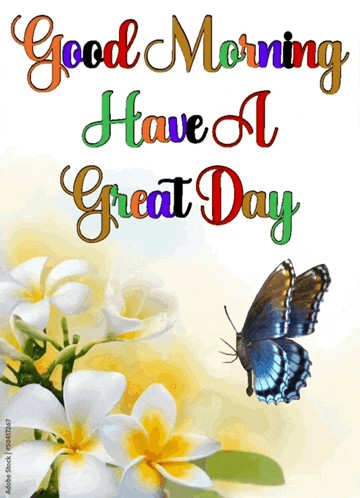 Good Morning Have A Great Day with Butterfly