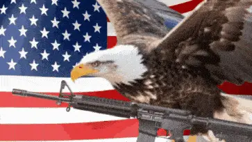 Murica: Eagle, Flag, and Gun