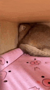 Grim Reaper байршуулсан GIF