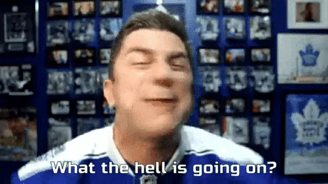 Steve Dangle What The Hell Is Going On