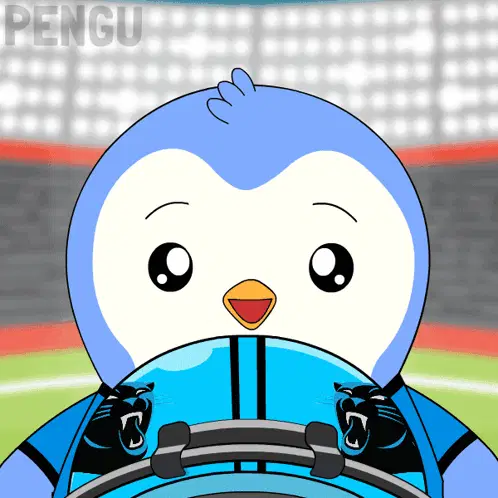 Carolina Panthers Game Day