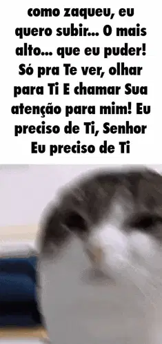 Oh The Misery Entra Na Minha Casa