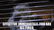 GIF uploaded by Phoebe