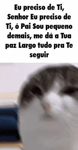 Oh The Misery Entra Na Minha Casa
