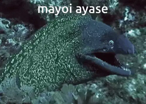 Mayoi Ayase Enstars