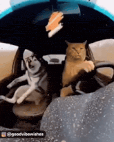 GIF uploaded by Josh