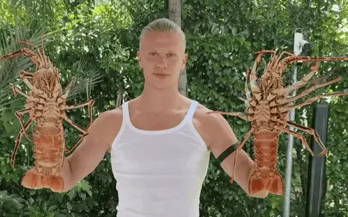 Erling Haaland Lobster Meme