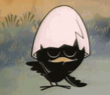 GIF