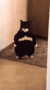 GIF uploaded by Dustin