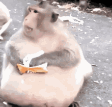 GIF enviado por amy