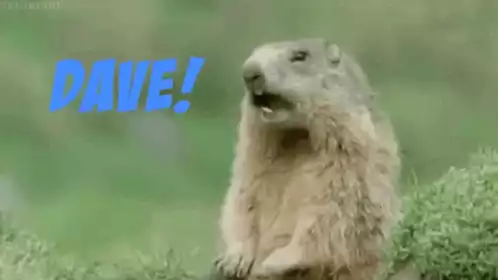 Dave the Groundhog