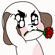 GIF 이미지