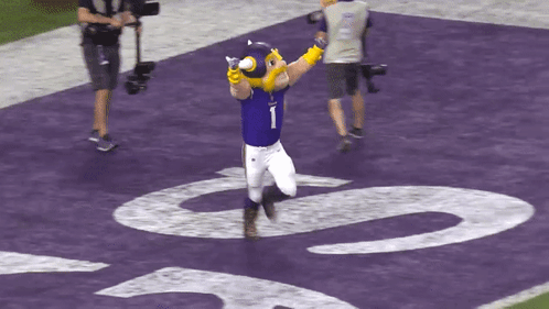 Minnesota Vikings Viktor The Viking