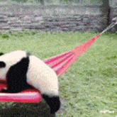 GIF uploaded by Funnygirl