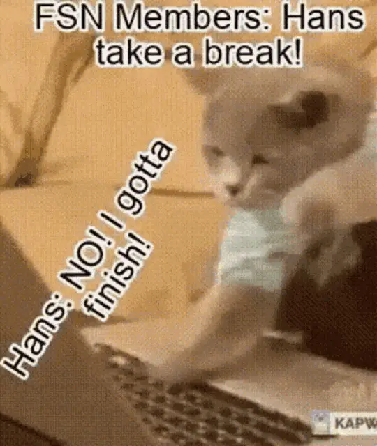 Hans the Master Coder Cat on FSN