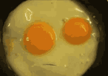 GIF caricata da Etienne
