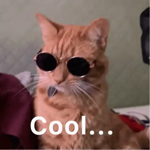 Kerehn-1: Cool Cat in Sunglasses