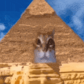 GIF