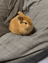 GIF uploaded by Bharath