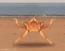 GIF