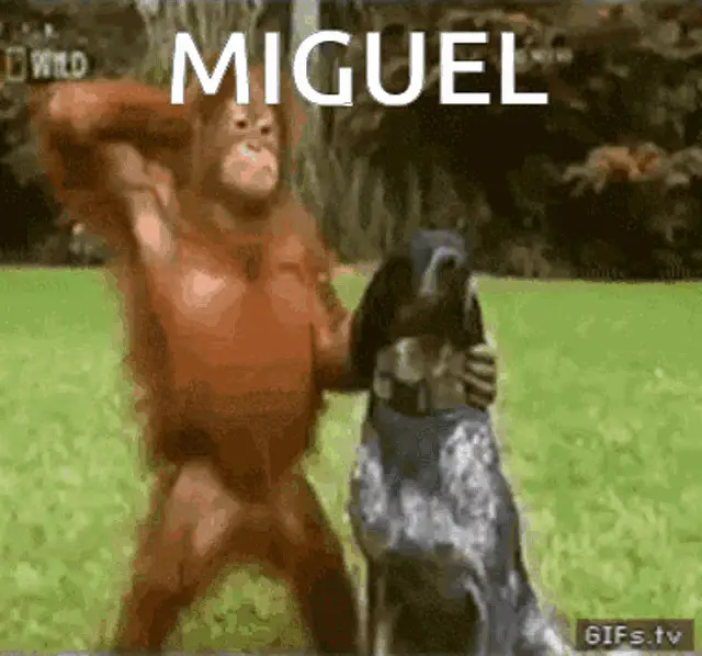 Miguel Monkey Takes a Tumble