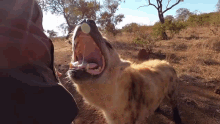 GIF