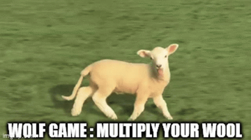 Wolf Game: Multiply Your Wool (Sheep Meme)